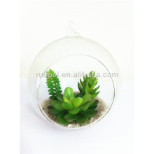 Beautiful artificial mini succulent plant with glass pot